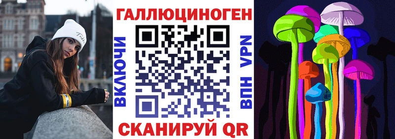 где купить   Лермонтов  Галлюциногенные грибы MAGIC MUSHROOMS 